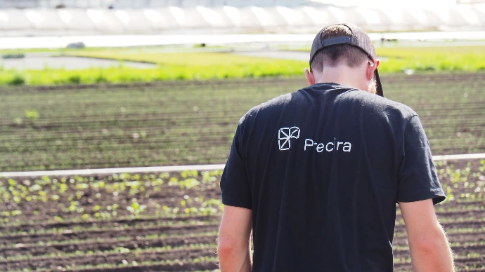 Precira auf dem Feld